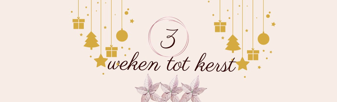 Winactie - 3 weken tot kerst